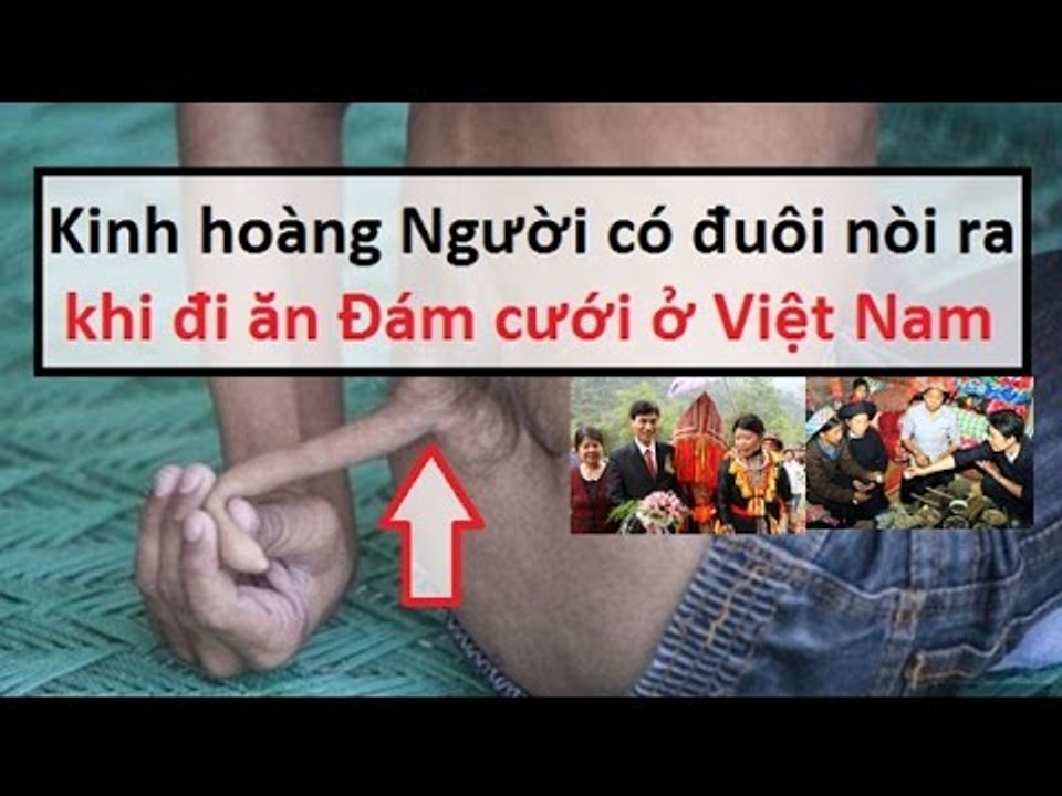 Kinh hoàng Người có đuôi nòi ra khi đi Đám cưới tại Việt Nam