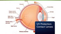 Send Me Contacts : UV Protection Contact Lenses