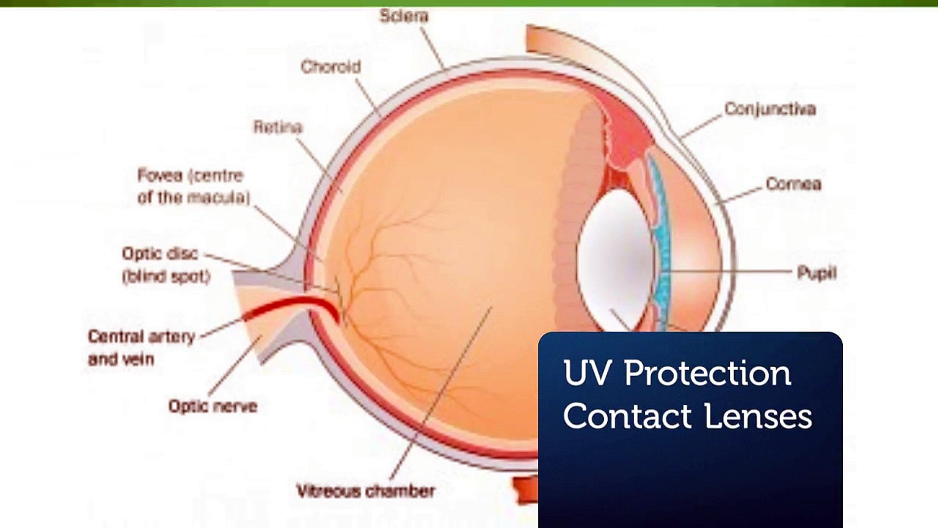 ⁣Send Me Contacts : UV Protection Contact Lenses