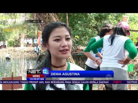 Aksi Tanam 40 Ribu Bibit Mangrove Sambut Hari Menanam Pohon Nasional - NET12