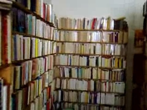 Le Loup des Steppes Arles 13200