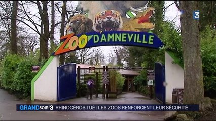 Rhinocéros braconné en France : alerte générale dans les zoos