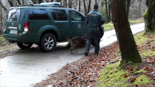 La Guardia Civil localiza un zulo de ETA con 7 bidones con material explosivo en Irún, Guipúzcoa