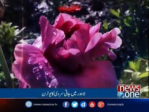 Rain turns Lahore weather pleasant