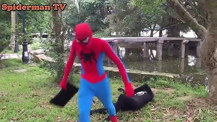 Spider Man vs deadpool Fines rescue Frozen Elsa Venom Anna Funny Superheroes in real life