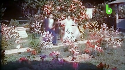 দেখা না হলে এক দিন ___সালমানশাহ্ ___শাবনুর__