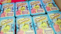 new Shopkins Giveaway Winners Announced! 100th Video Appreciation to all my SUBSCRIBERS!