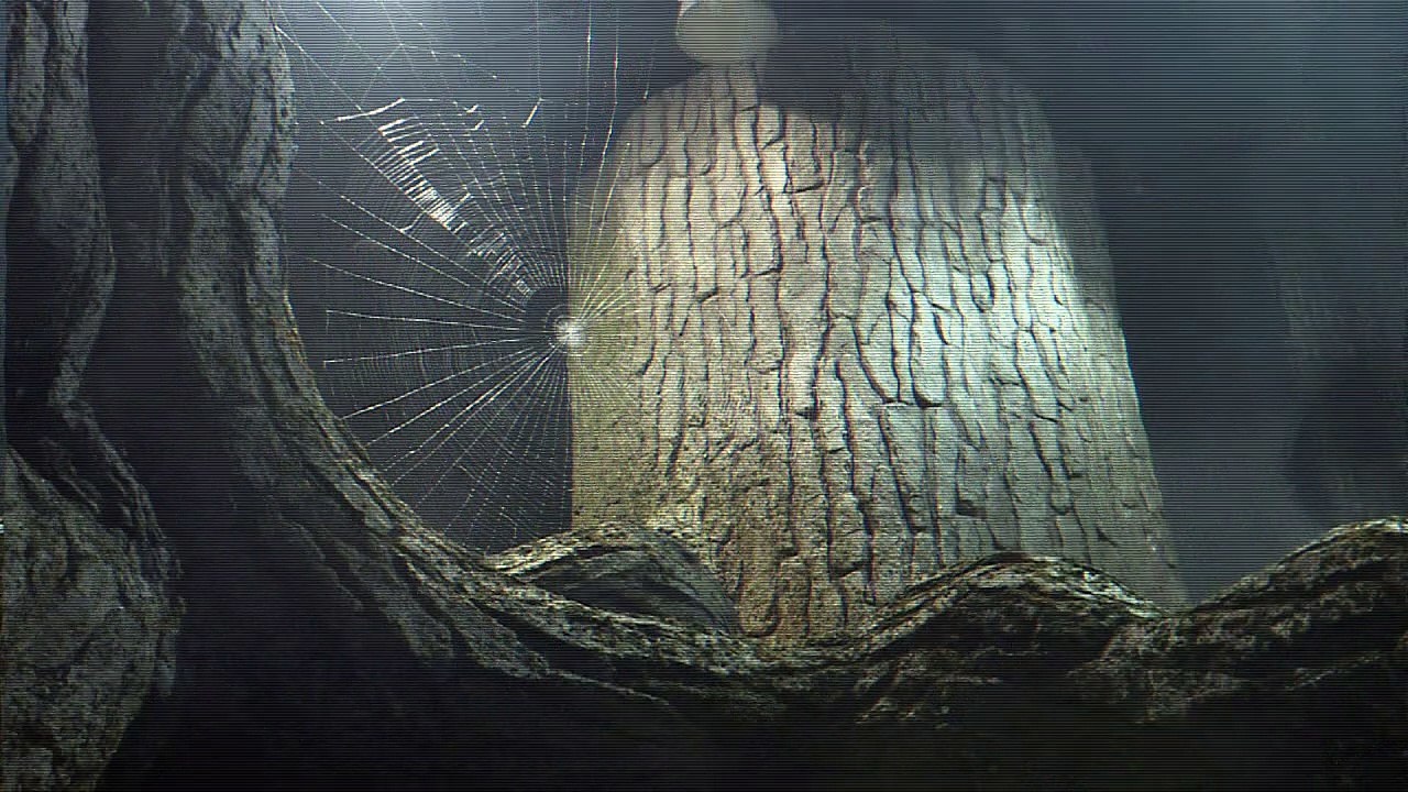 Gruselstimmung im Verbotenen Wald