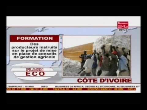 Business 24 | Flash Eco Cote d'Ivoire - Des producteurs instruits sur le projet de mise en place