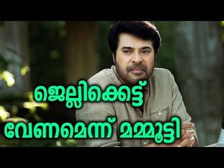 Mammooty supports jellikettu - FilmiBeat Malayalam