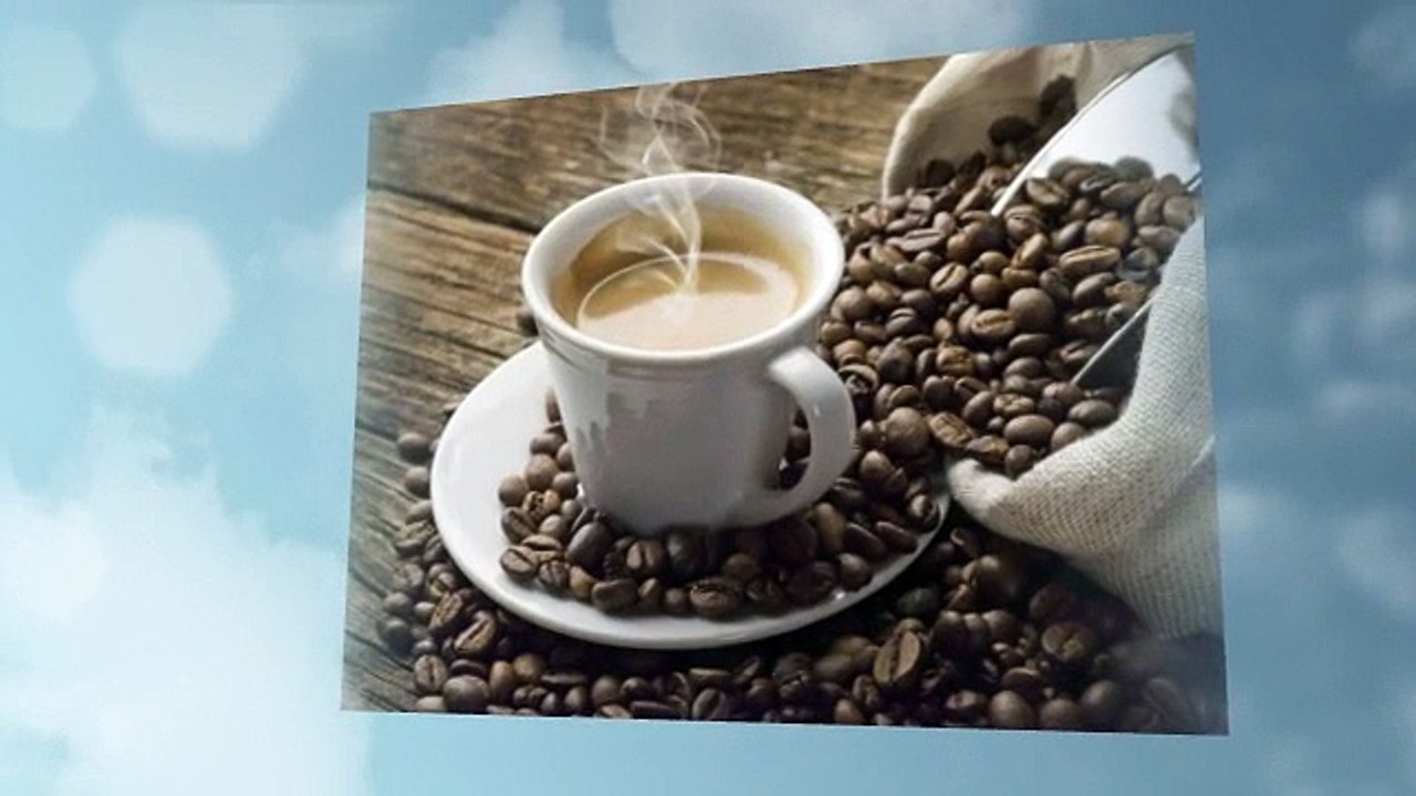 Your Trusted Source for Palo Santo Wood Incense