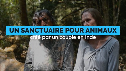 Ce couple a créé un sanctuaire pour les animaux sur d'anciennes terres polluées