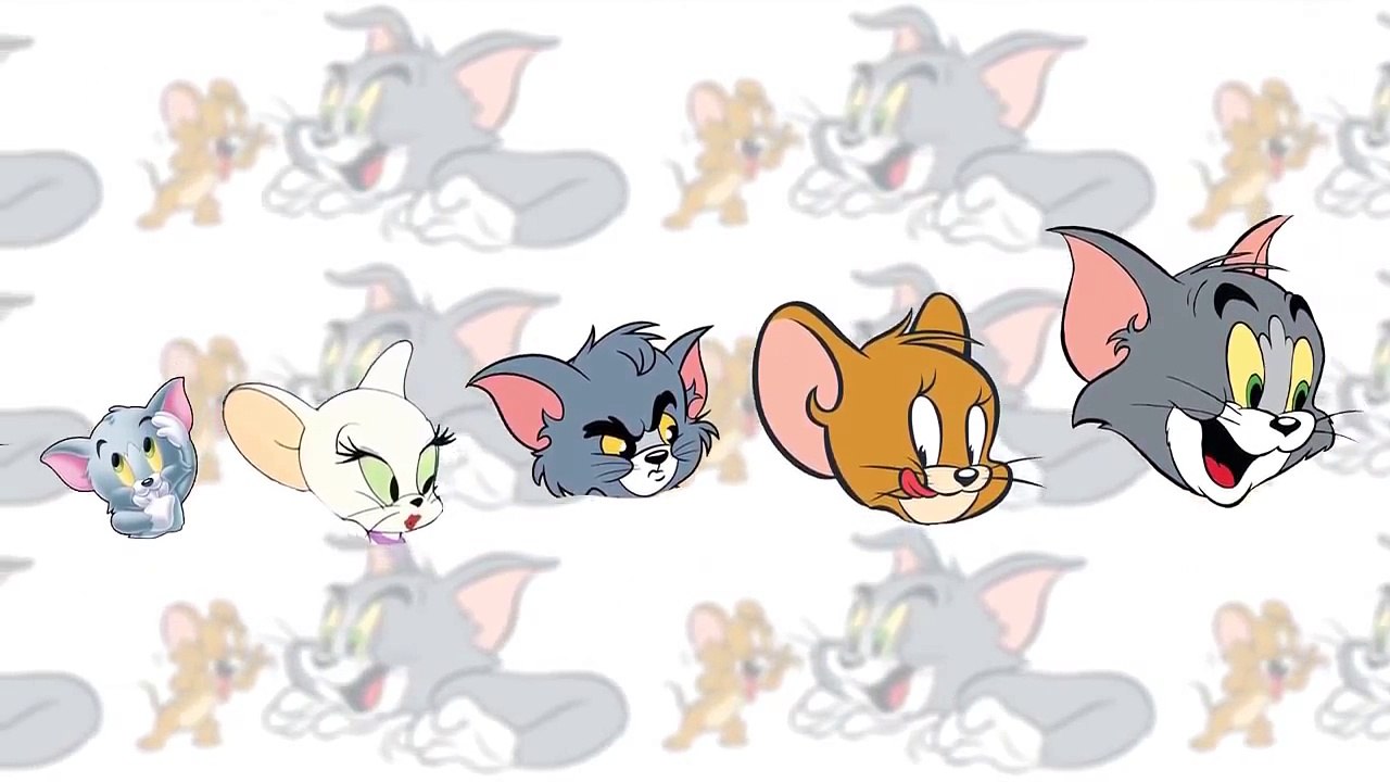 The Finger Family Song ll Nursery Rhyme ll Tom & Jerry Collection !