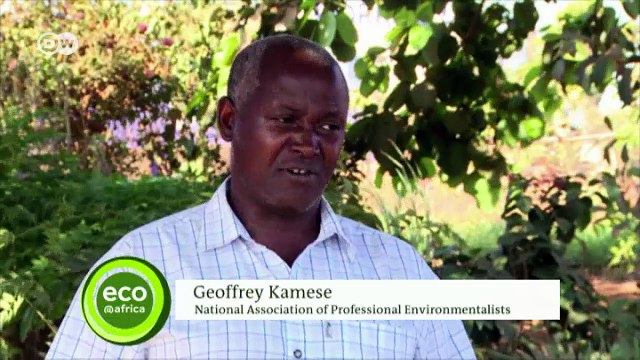 Uganda’s plastic bottle dilemma | Eco-at-Africa