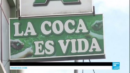 Bolivia: Morales signs controversial bill nearly doubling coca cultivation land