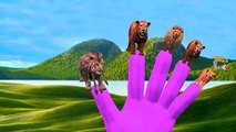 Gorilla Vs Dinosaur Lion Finger Family Rhymes | King Kong Vs Dinosaurs Finger Family Colle