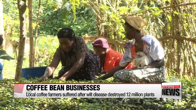 Working women changing lives and social perceptions worldwide