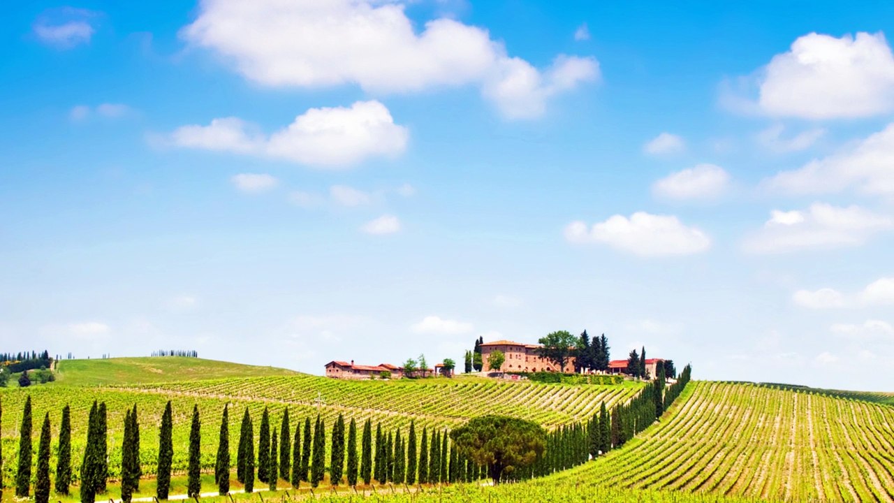 The Flying Winemaker