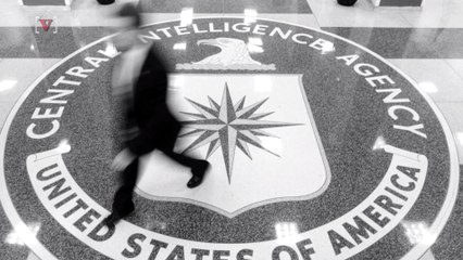 WikiLeaks Data Dump Likely Came from Contractors