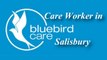 Bluebird Care South Wiltshire are looking for Carers