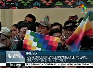 Ley boliviana para la Coca creará instituto de investigación