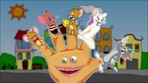 Tom and Jerry Avenger Finger Family Song - Tom and Jerry Cartoon Nursery Rhymes Songs for