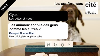Les animaux sont-ils des gens comme les autres ?