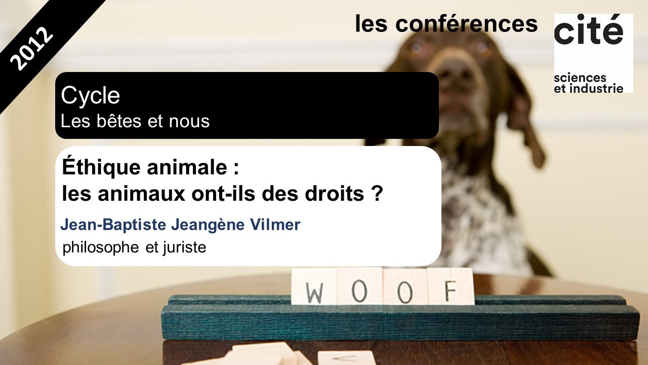 Éthique animale : les animaux ont-ils des droits ?