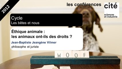 Éthique animale : les animaux ont-ils des droits ?