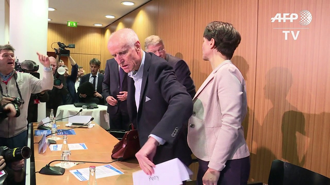 AfD will 'kriminelle Migranten' ausbürgern