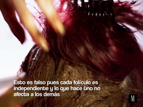 Los mitos de belleza más comunes que no debes creer