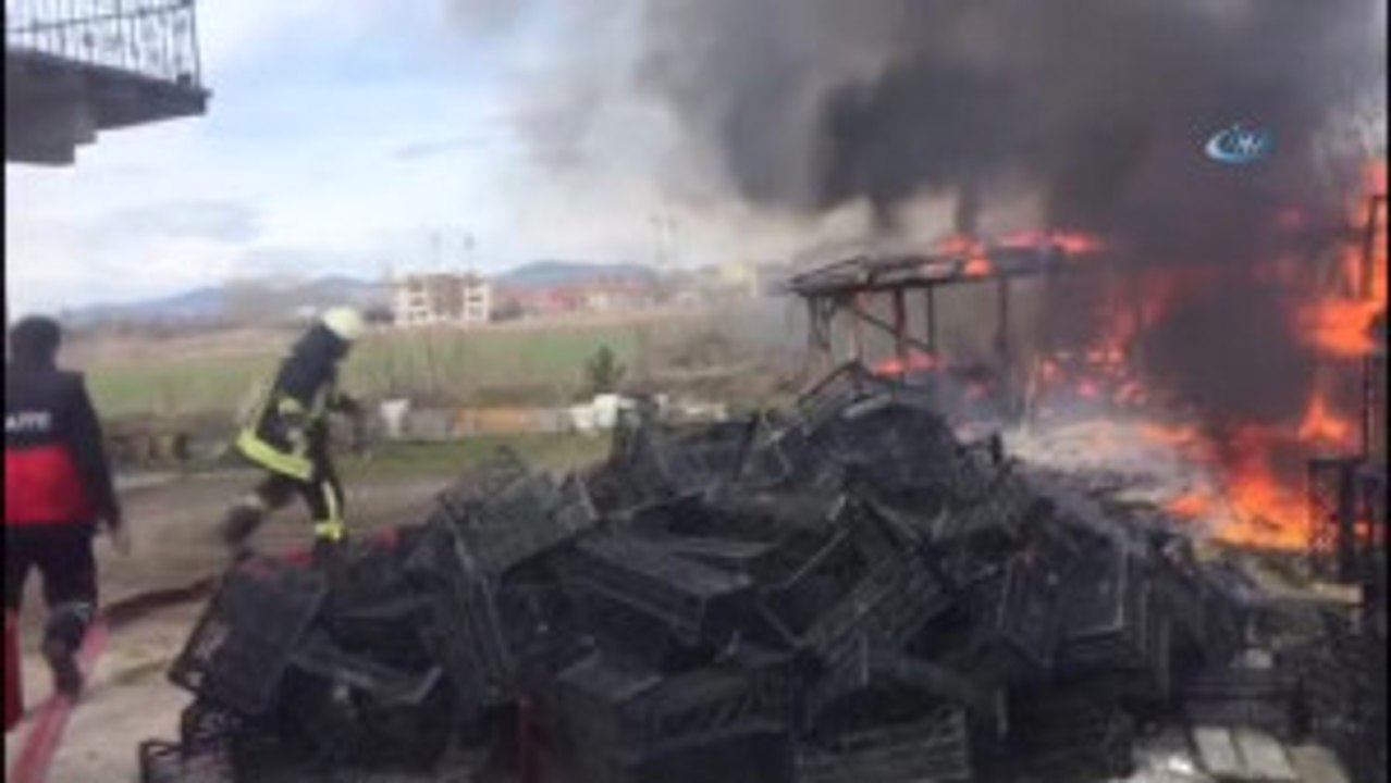 Kamelya Yangını Korkuttu
