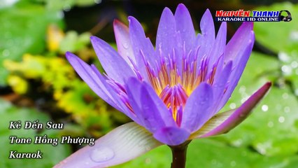 [ karaoke ] Kẻ Đến Sau - Hồng Phượng Beat Nguyễn Thanh