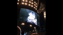 Adele prise de panique à cause d'un moustique se met à crier en plein concert