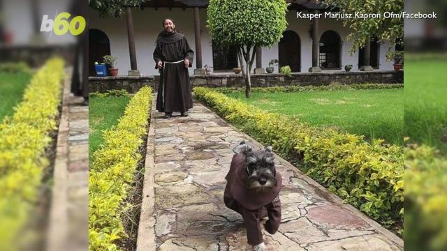 Meet the Cutest Friar at the Franciscan Monastery