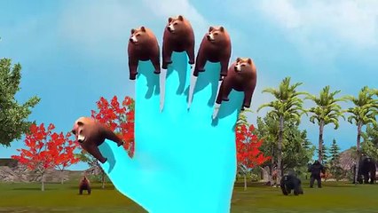 3D Animated Bear Finger Family Rhymes or Children | Top Animal Finger Family Rhymes