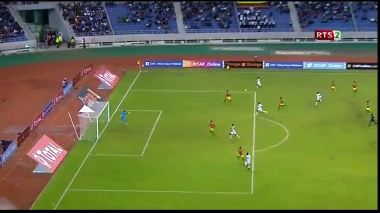 lions 2