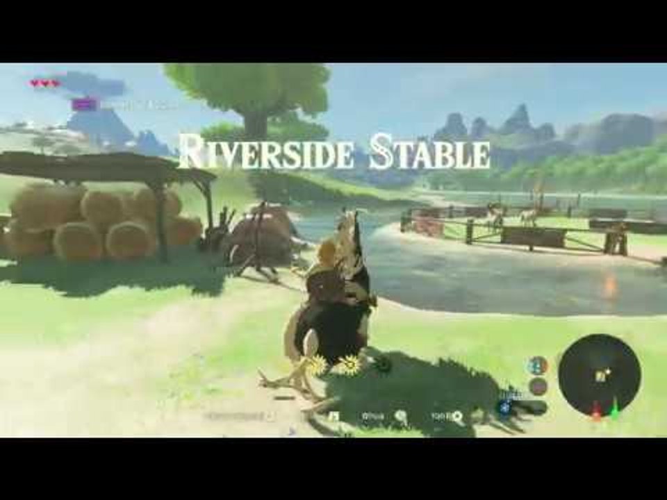 Nintendo Switch // The Legend of Zelda: Breath...