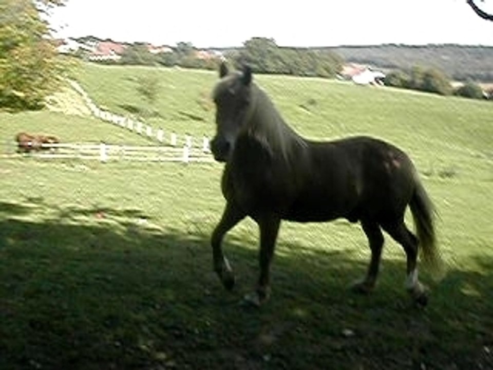 DSCN7339