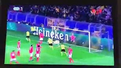 Carlos Daniel arrasa Benfica e Rui Vitória