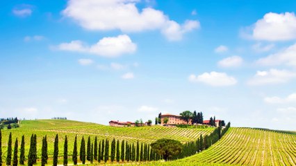 Same but dif - Kaiserstuhl