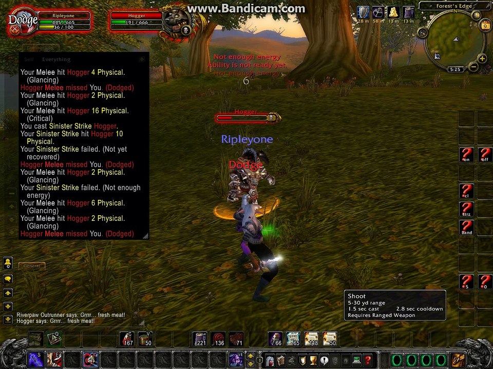 lvl 1 rogue vs hogger