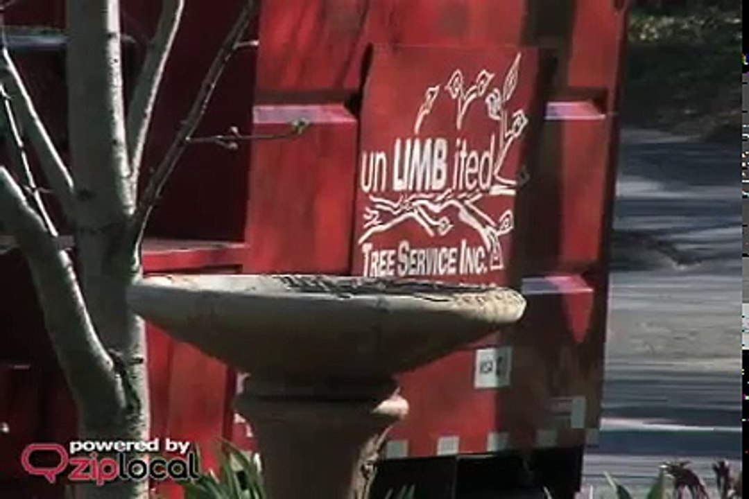 Unlimbited Tree Service Inc - (443)790-5523