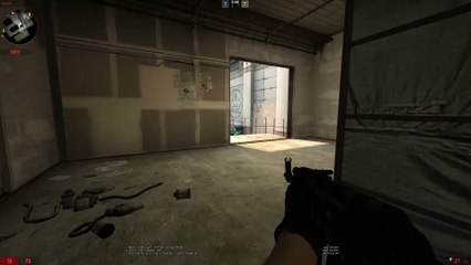 CSGO: Fantastic Shot.