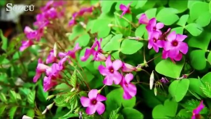 Tekirdağlılardan 'Hayır' videosu