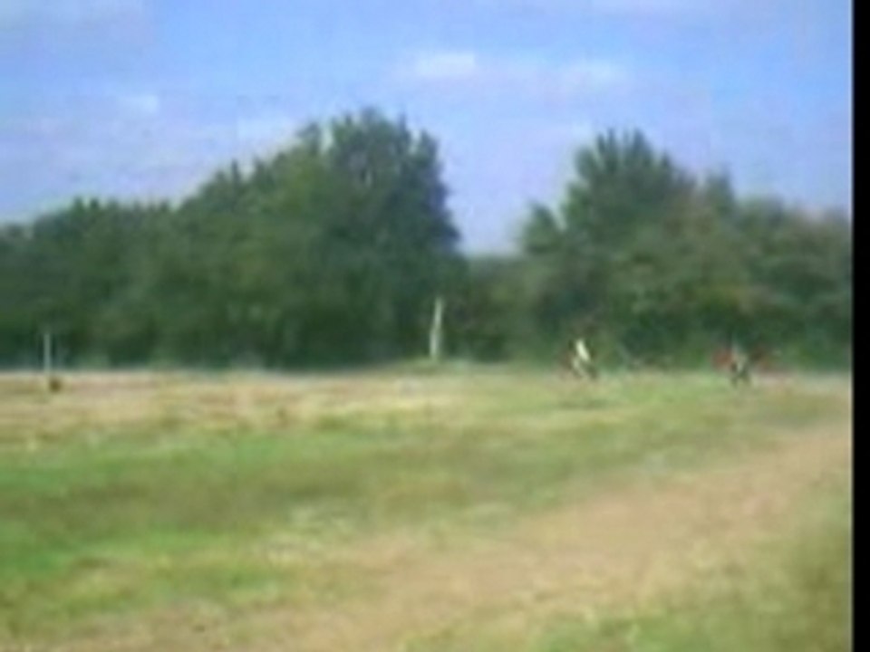 VIDEO_045