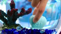 Disney - Finding Dory - Squishy Pops Dory - Squishy Pop Aquarium & Squishy Pop Figures