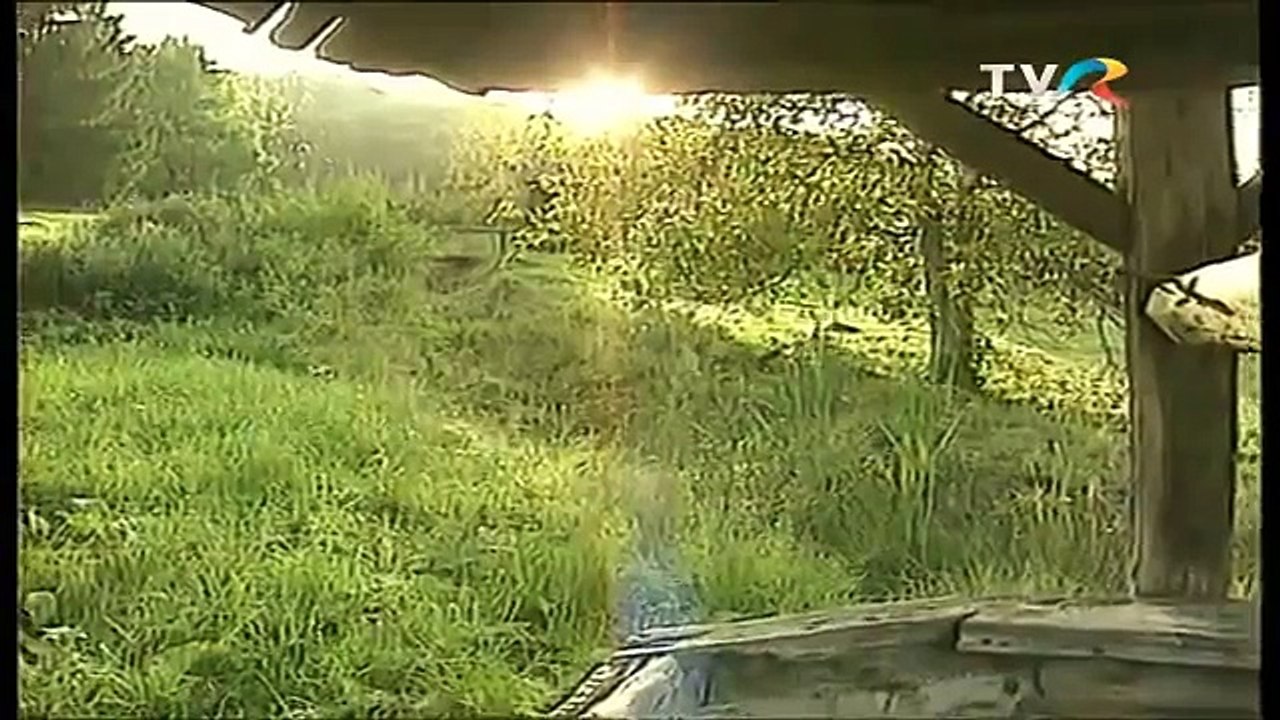 Marius Ciprian Pop - Ma dusai la plug pe coasta (arhiva)