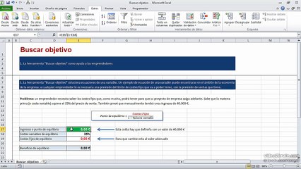 21 Buscar objetivo en Excel 0236