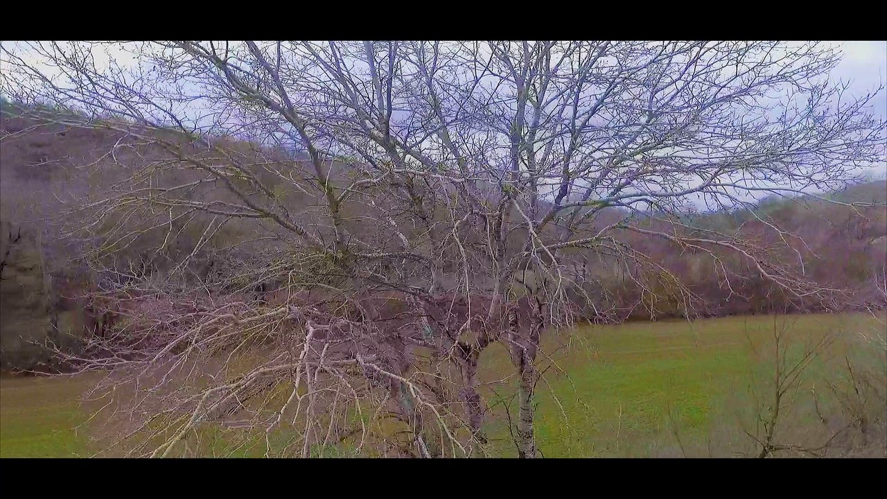 Tovoion Tv Dead Nature wait the Resurrection By Dji Phantom 4